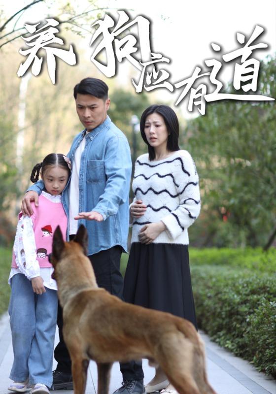 养狗应有道