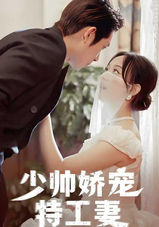 少帅娇宠特工妻