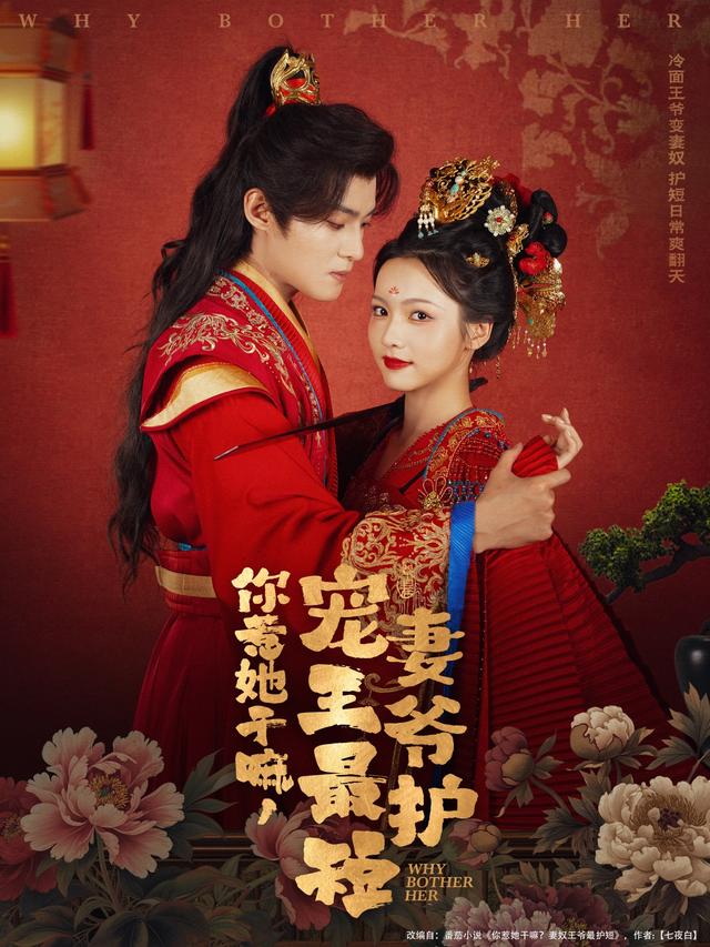 你惹她干嘛，宠妻王爷最护短