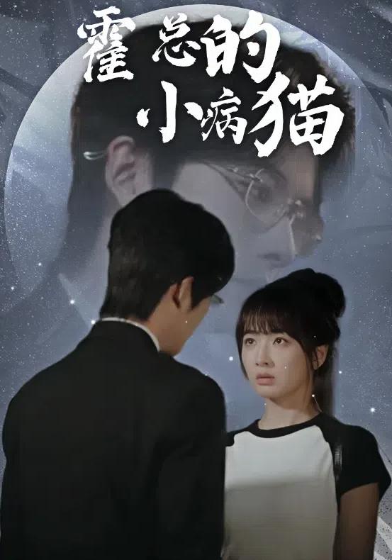 霍总的小病猫