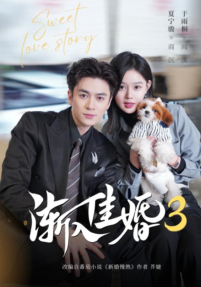 渐入佳婚3