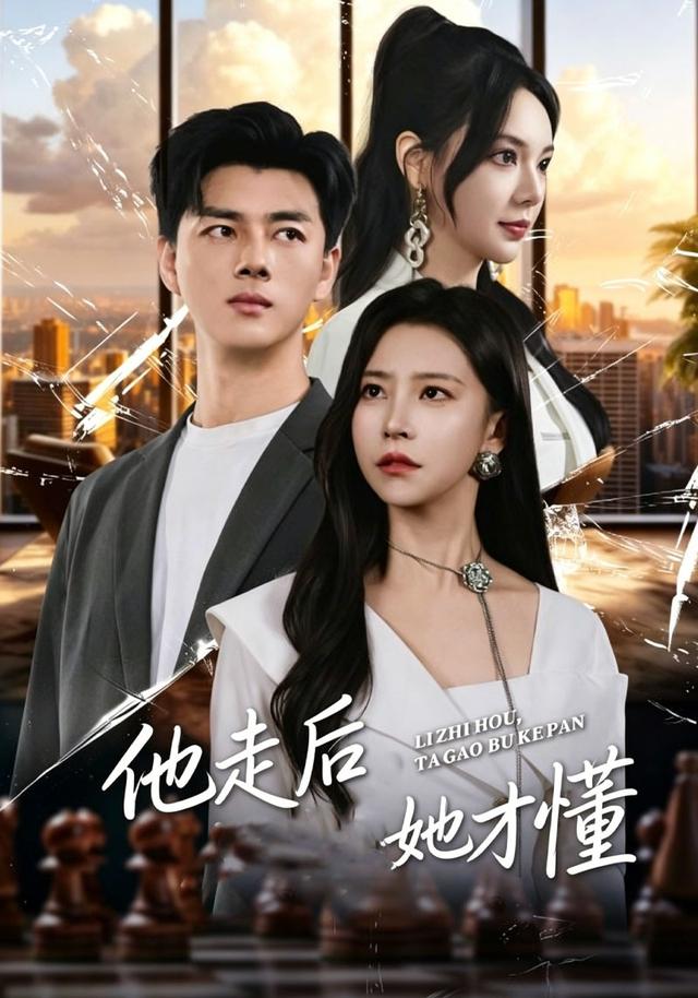 他走后她才懂