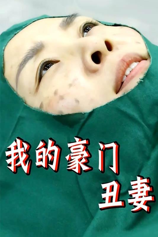 我的豪门丑妻