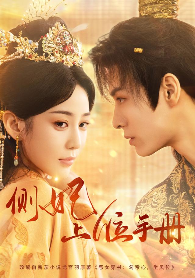 侧妃上位手册