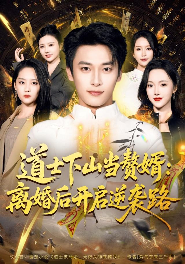 道士下山当赘婿：离婚后开启逆袭路